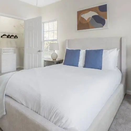 Need a third roommate for apartment