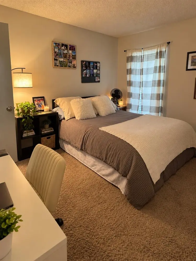 Seeking a new roommate
