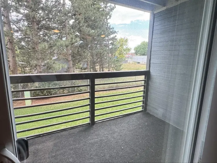 Looking for someone to take my room