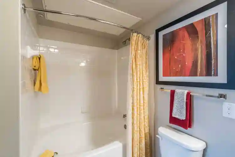 Furnished apartment luxurious