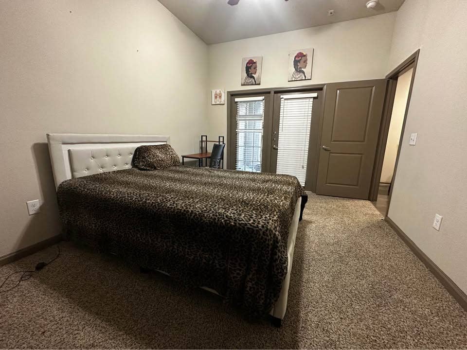 Furnished apartment luxurious