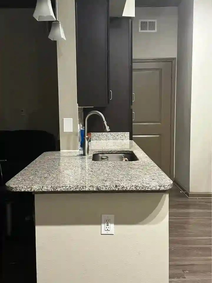 Furnished apartment luxurious