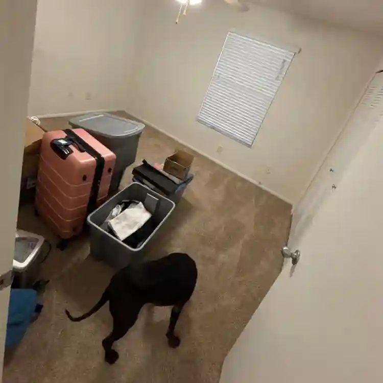 Room for rent