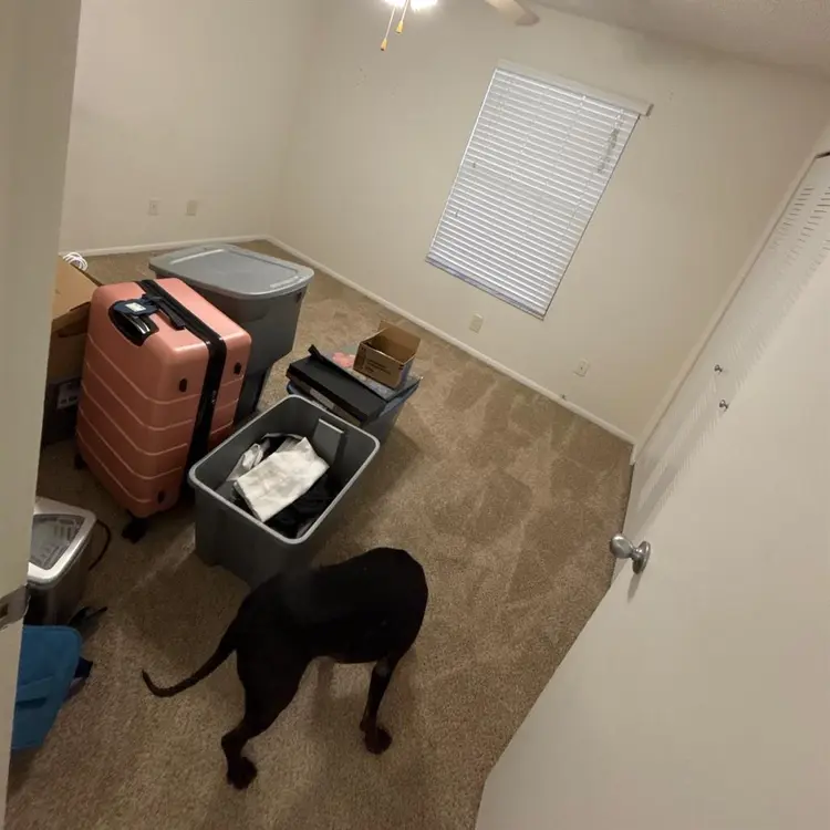 Room for rent