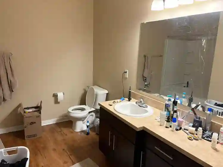 January 1st Lease Takeover: $790/mo