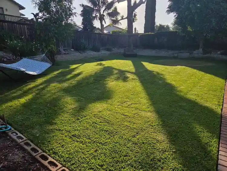 Room for rent in Mission Viejo