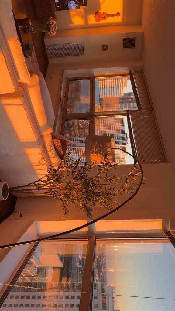 Sublet-west loop Chicago- 1B1B