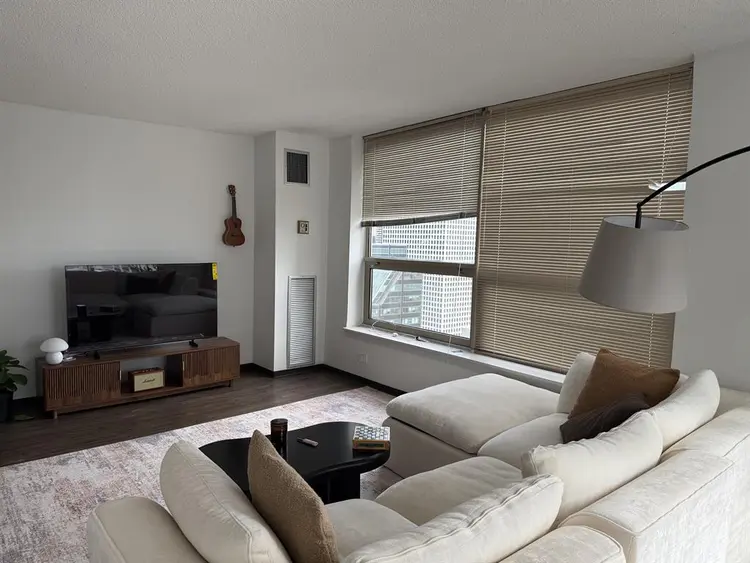 Sublet-west loop Chicago- 1B1B