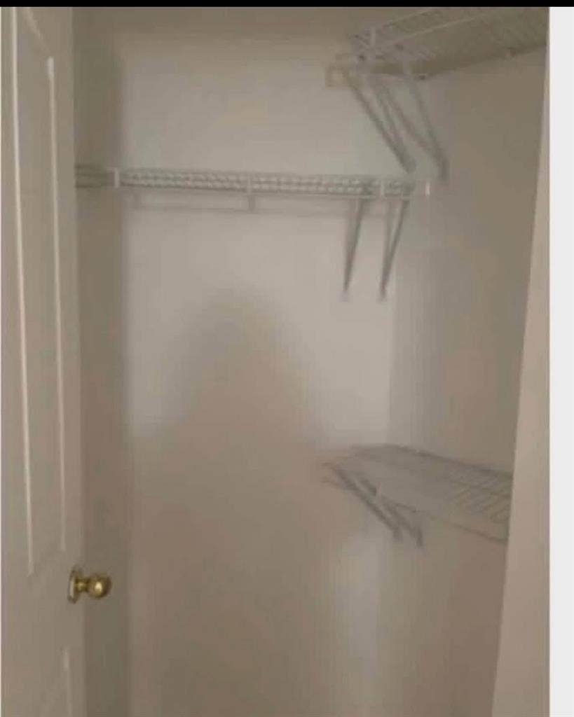 Looking for a roommate