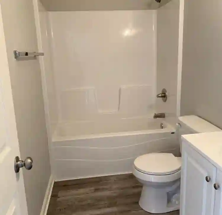 Looking for a roommate