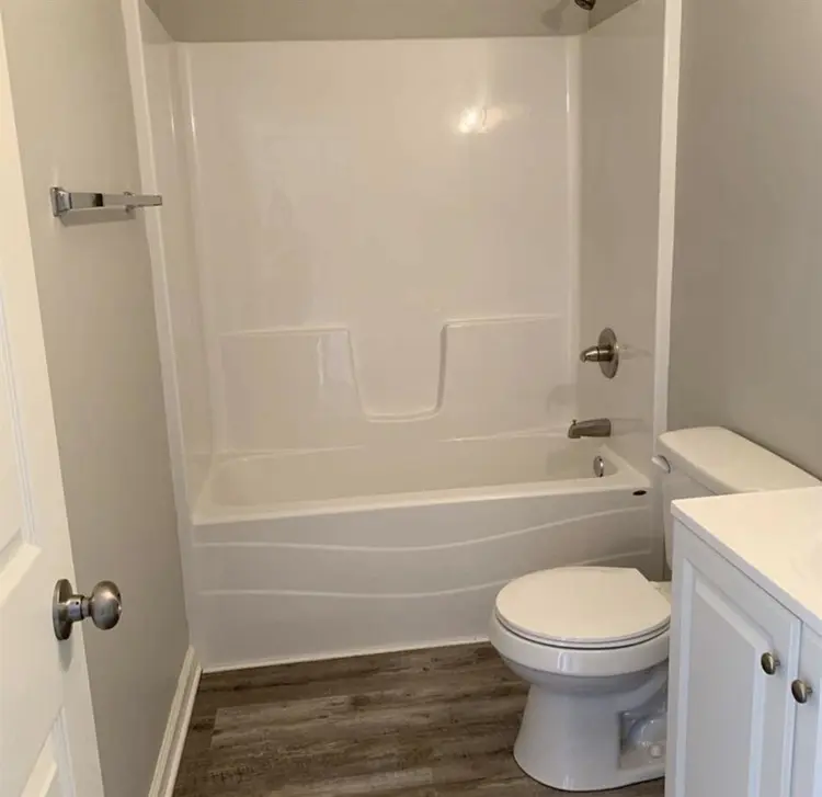 Looking for a roommate