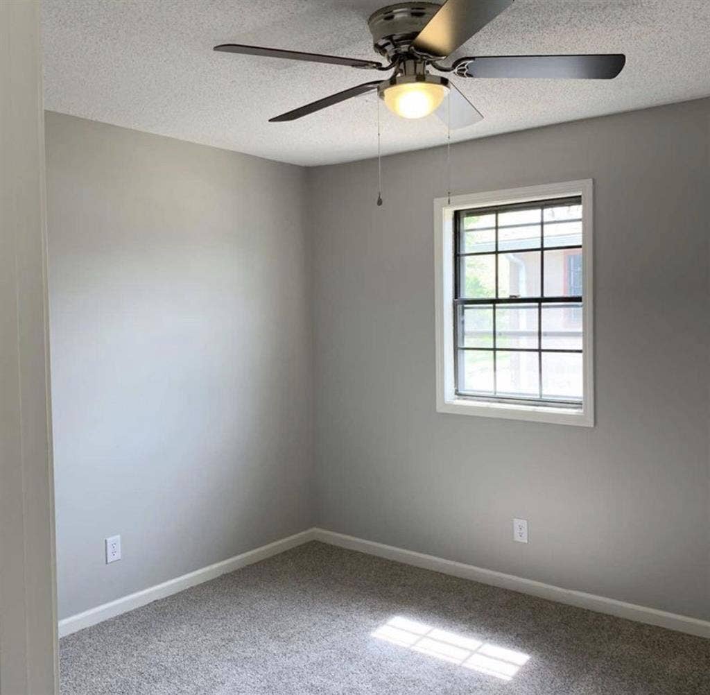 Looking for a roommate