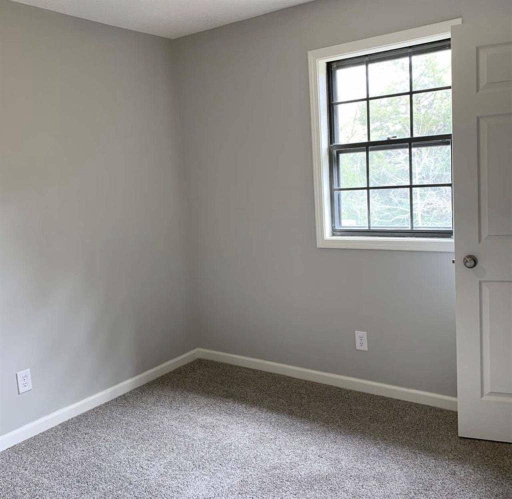 Looking for a roommate