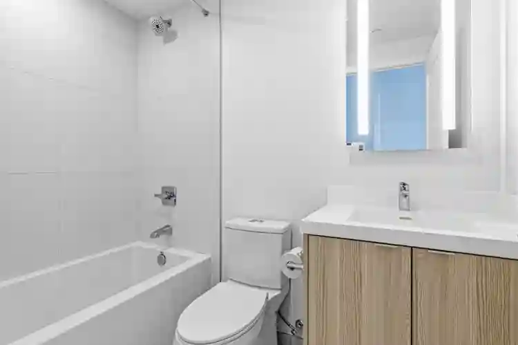 Roommate Wanted