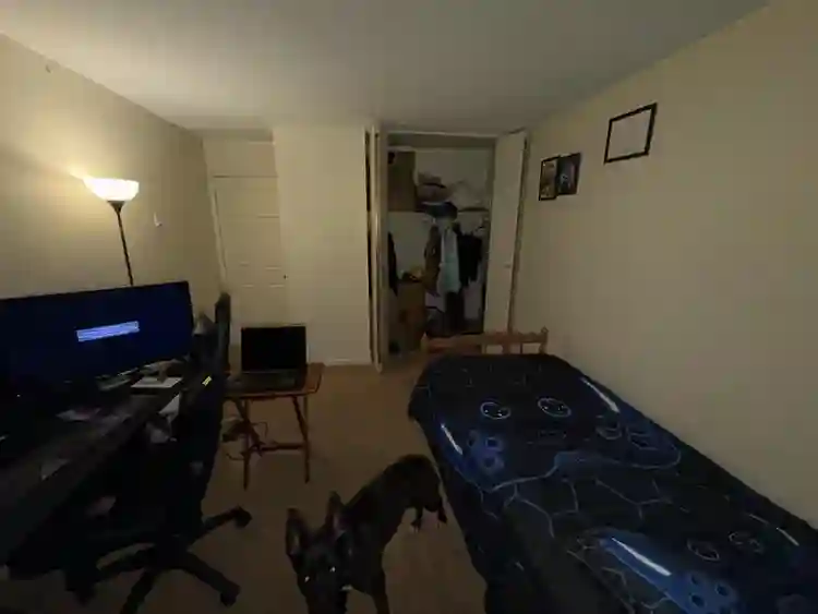 Looking for a chill roommate