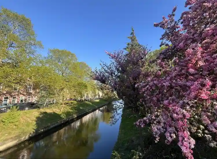 The Hague Apartment at the canal
