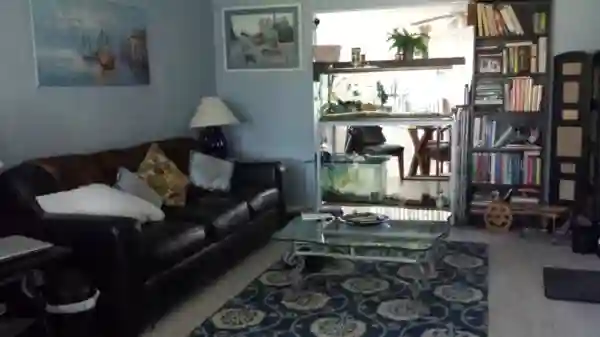 Furnished room in Clearwater