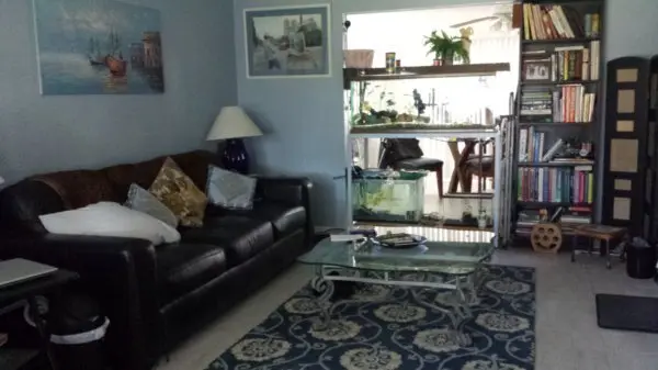 Furnished room in Clearwater