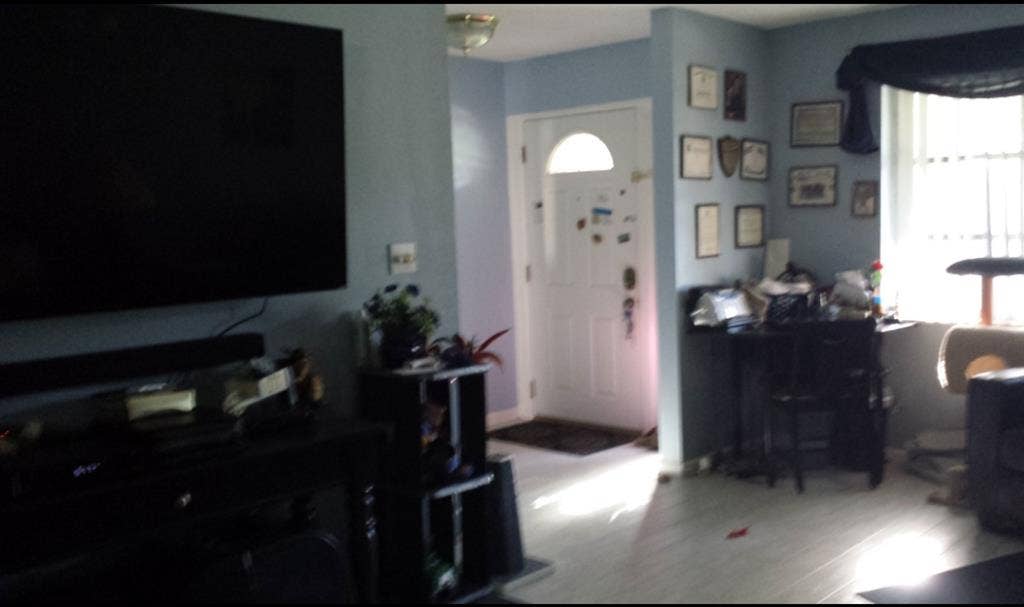 Furnished room in Clearwater