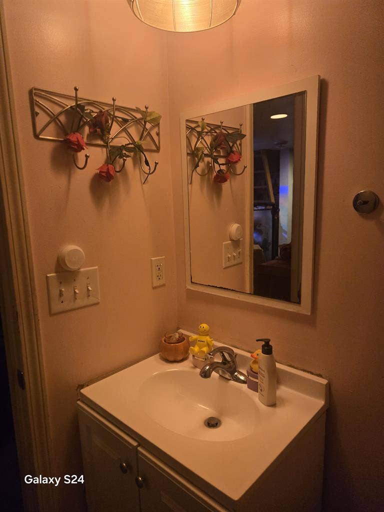 Studio Loft looking 4 Roommate