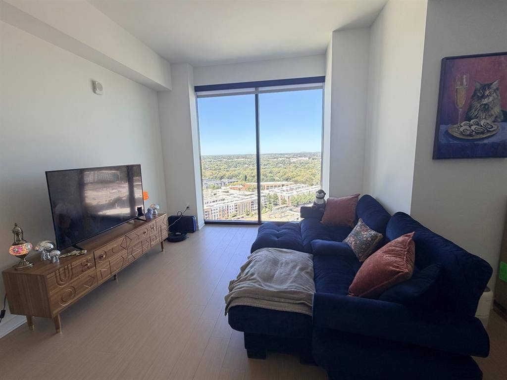 Luxury 1-Bedroom 1 Bath South End
