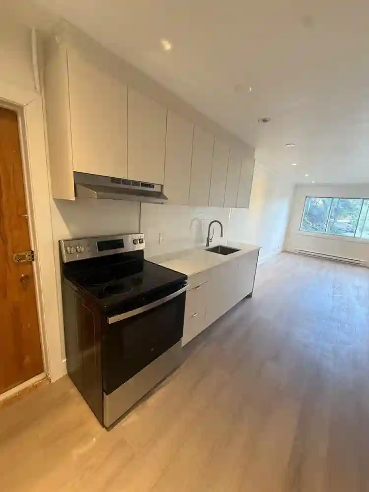 Bright & Modern 1-Bedroom Apartment