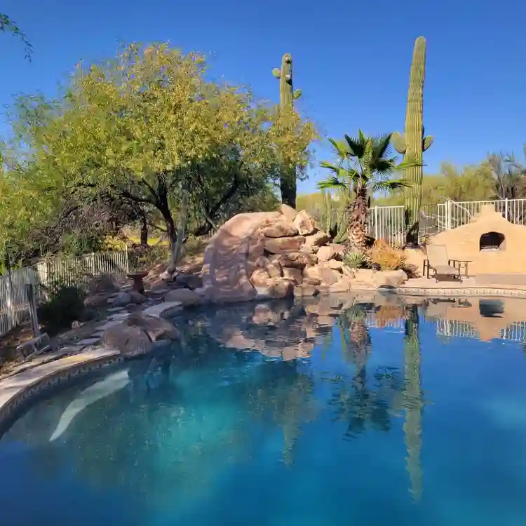 Peaceful Desert Oasis