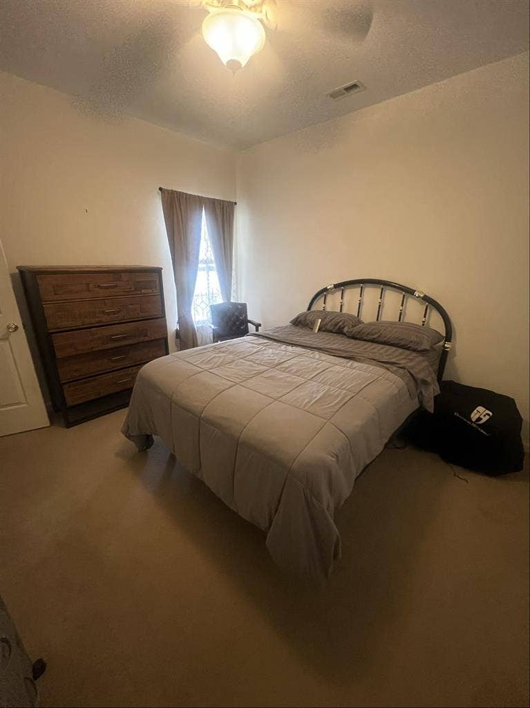 Looking for a good roommate
