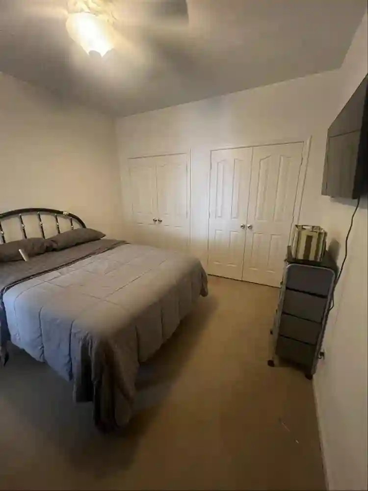 Looking for a good roommate