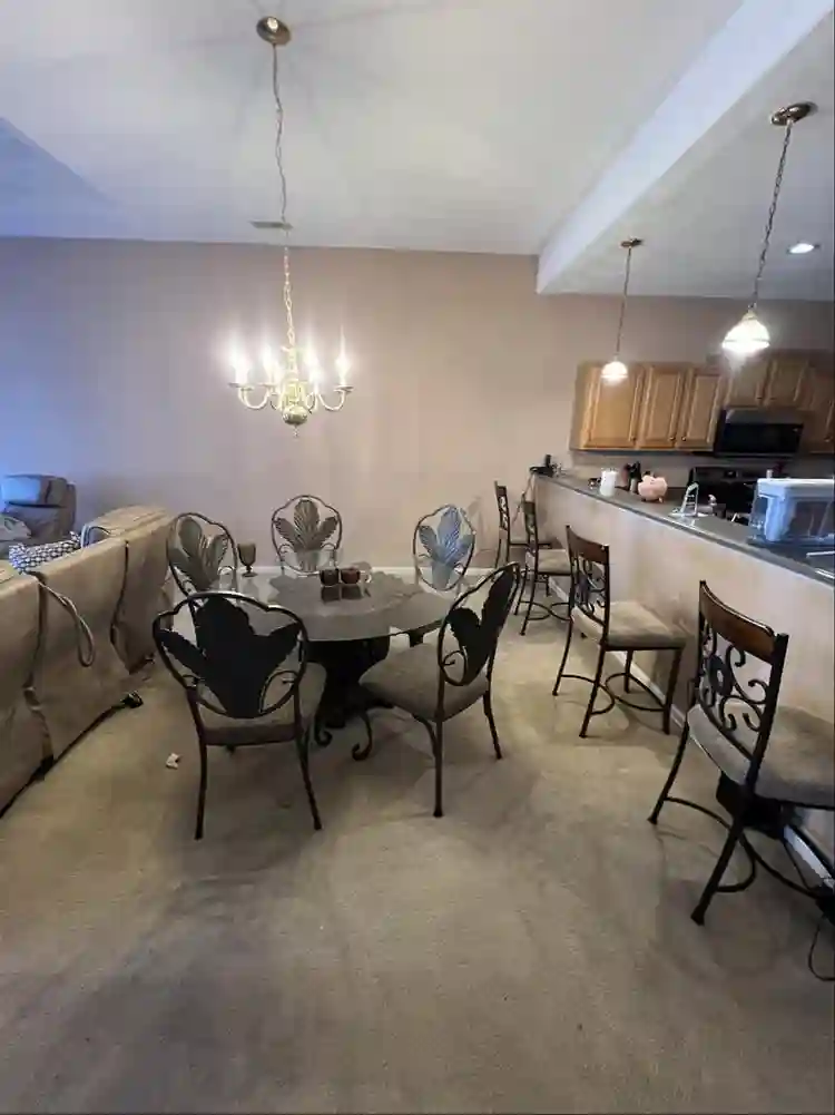 Looking for a good roommate