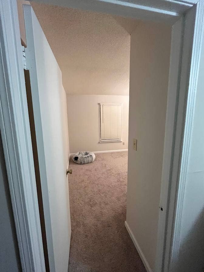 Roommate Wanted