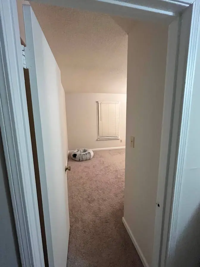 Roommate Wanted