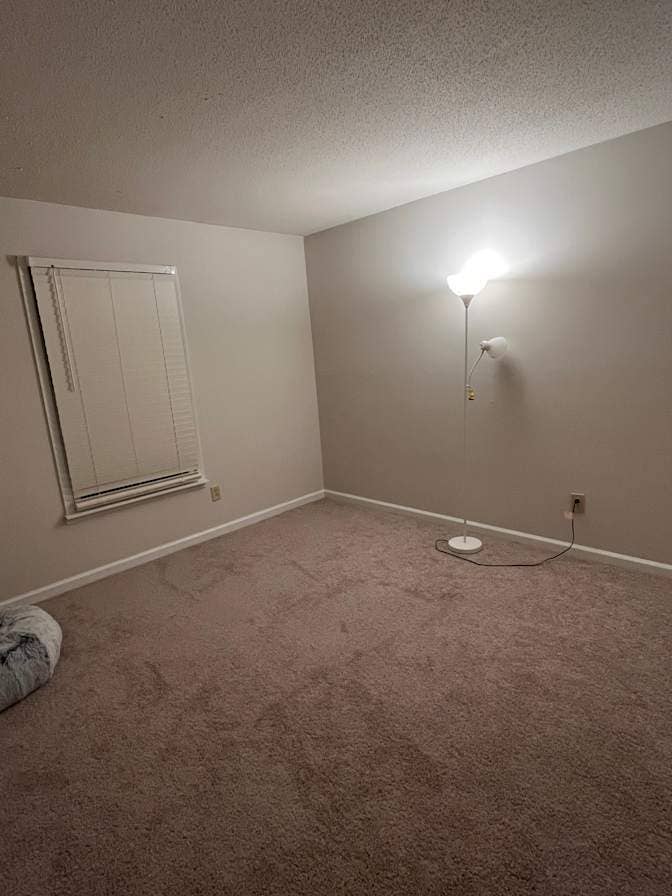 Roommate Wanted