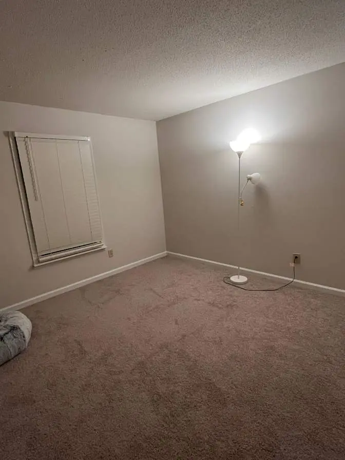 Roommate Wanted