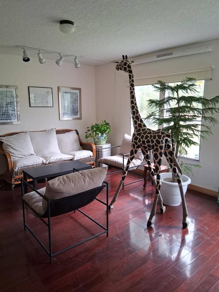 🐾 Private Room and Bathroom, $650!