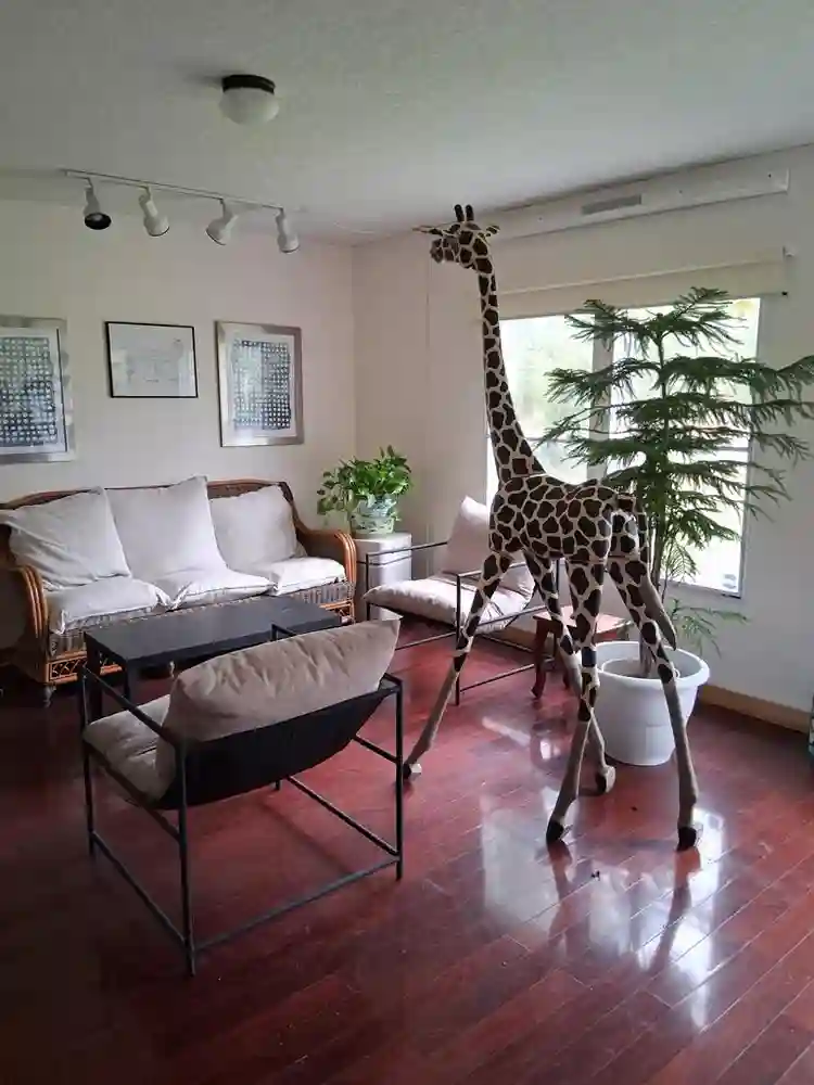 🐾 Private Room and Bathroom, $650!