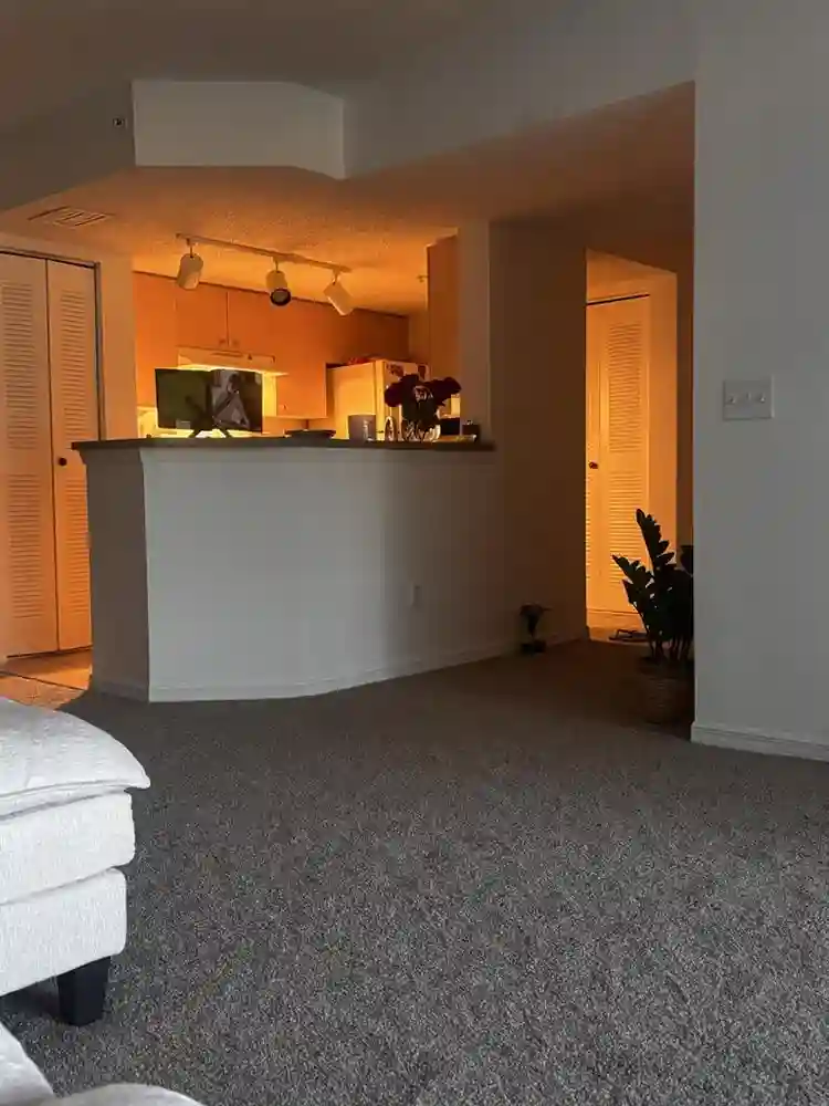 1 Cozy room available
