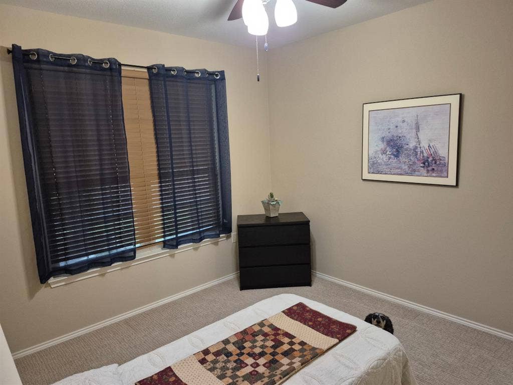 Room Available in Georgetown