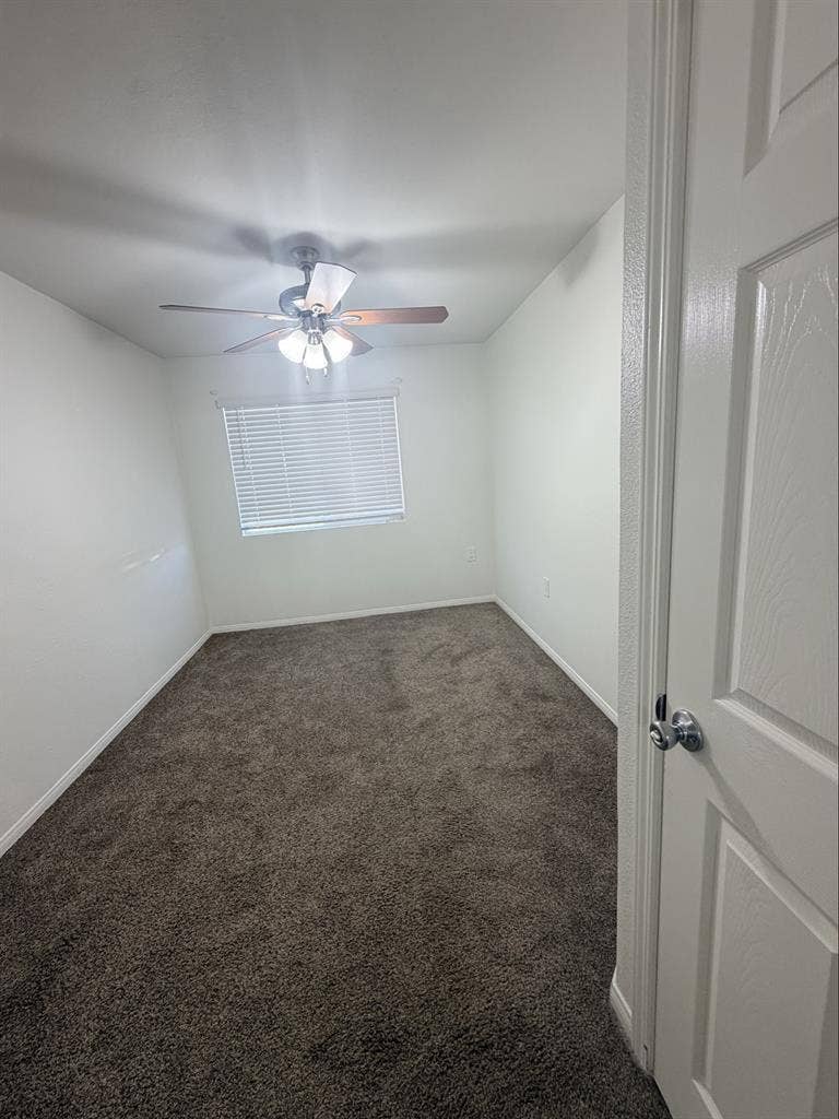 Room for Rent (available now)