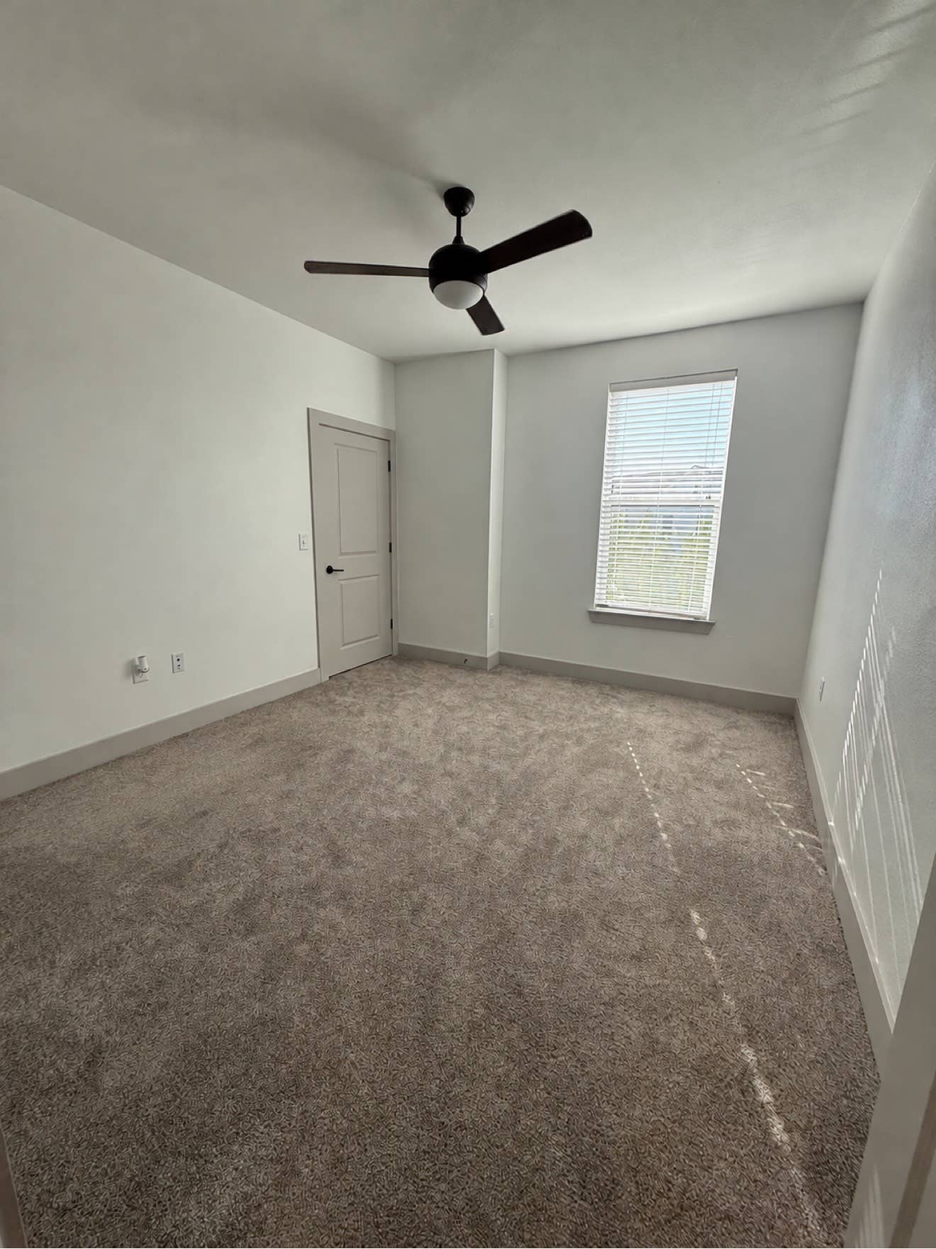Female Roomate Wanted