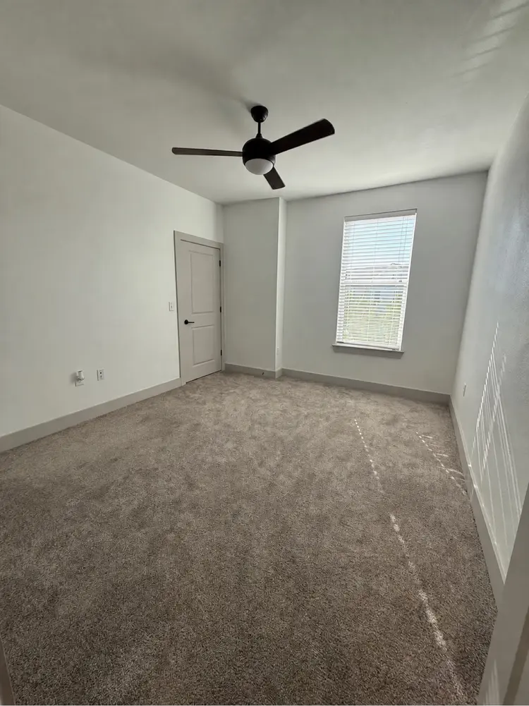 Female Roomate Wanted