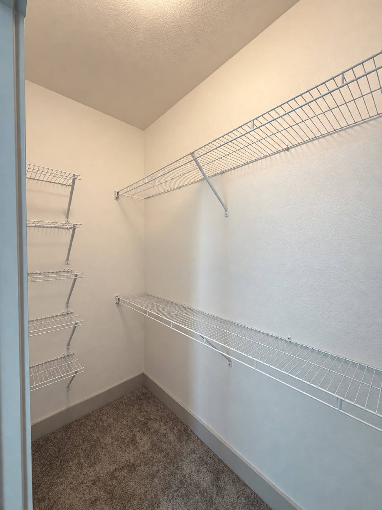 Female Roomate Wanted