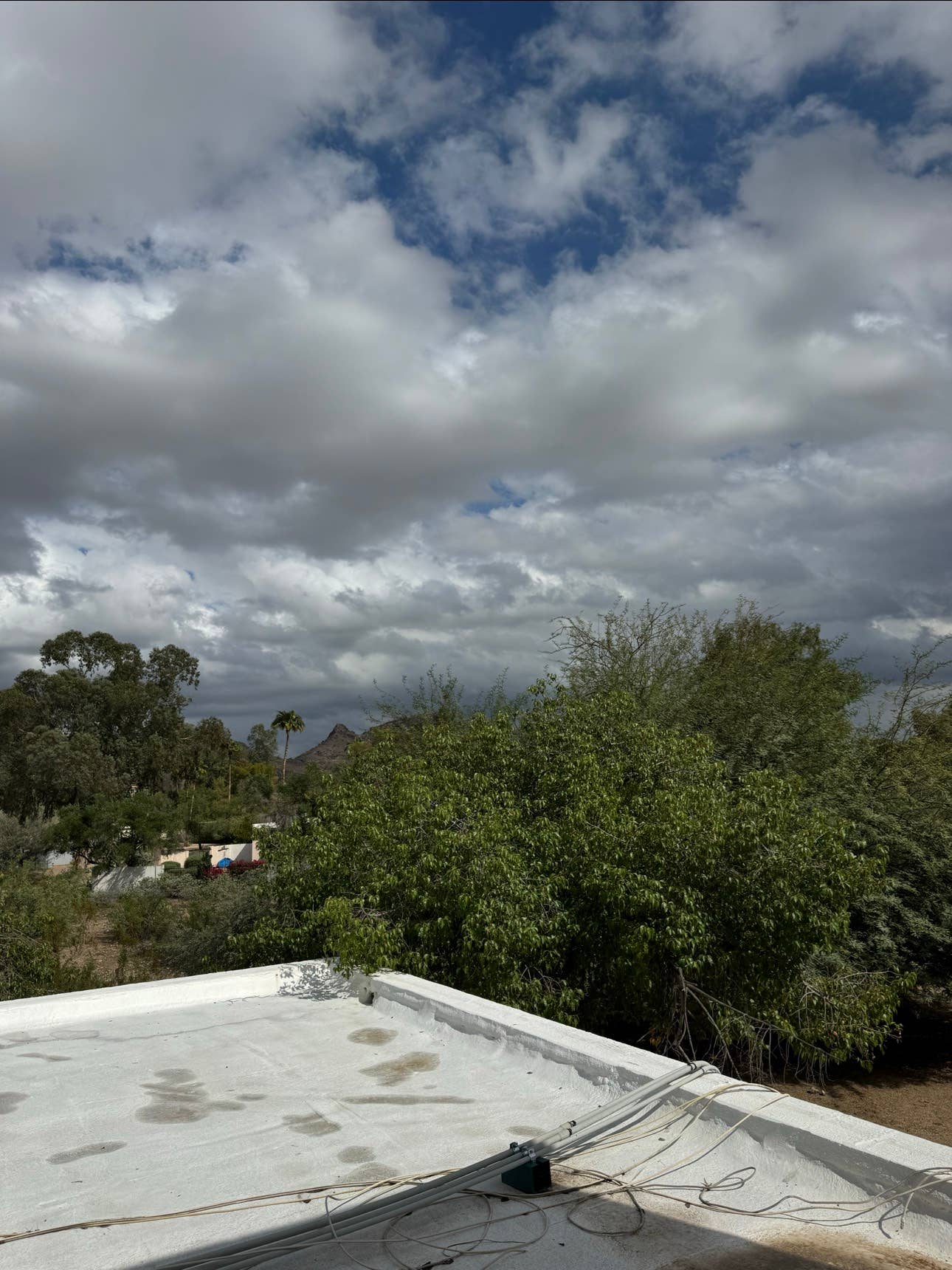 2 Bed/1 Bath Condo in Moon Valley!