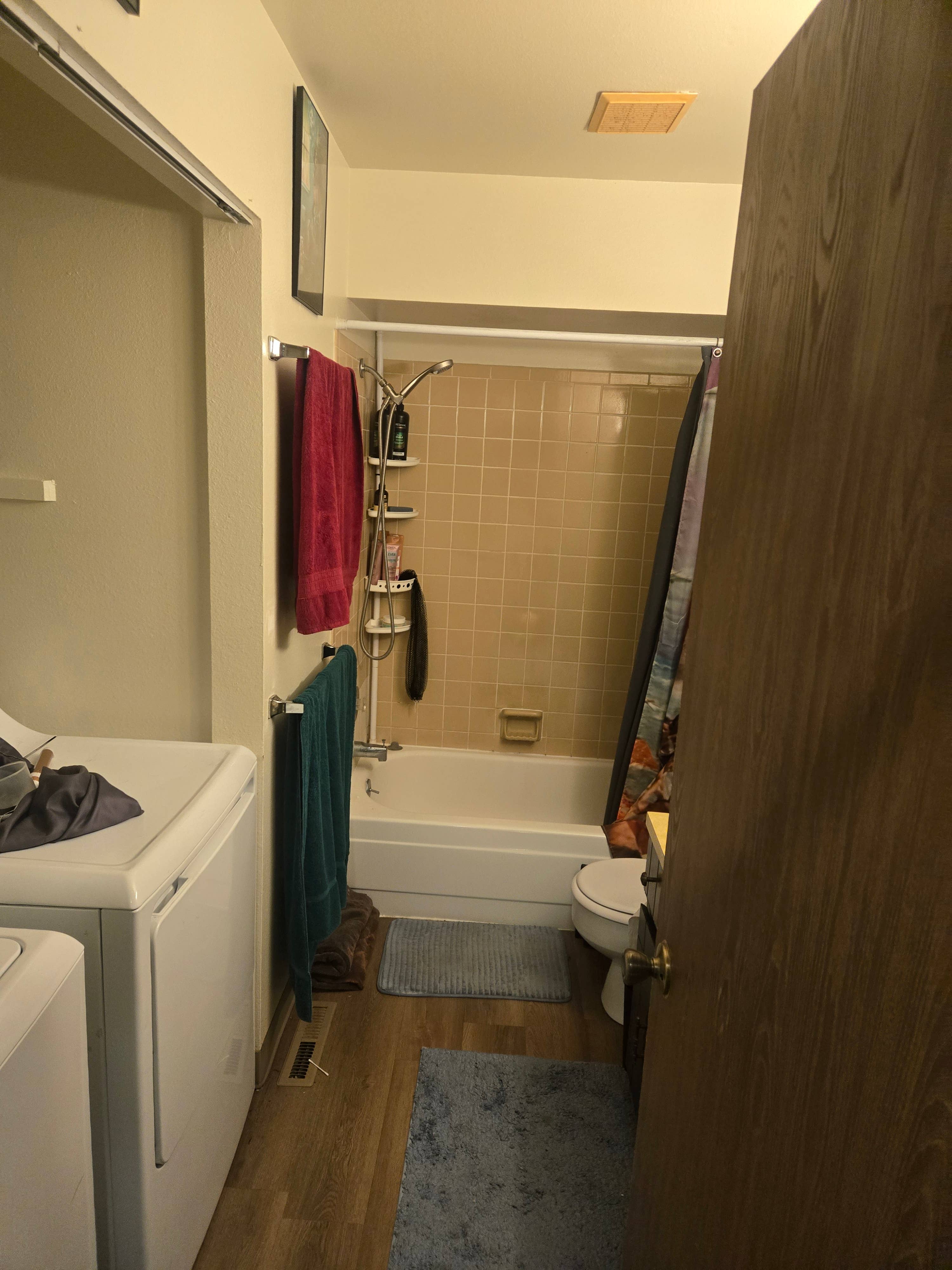 Subleting great apartment!