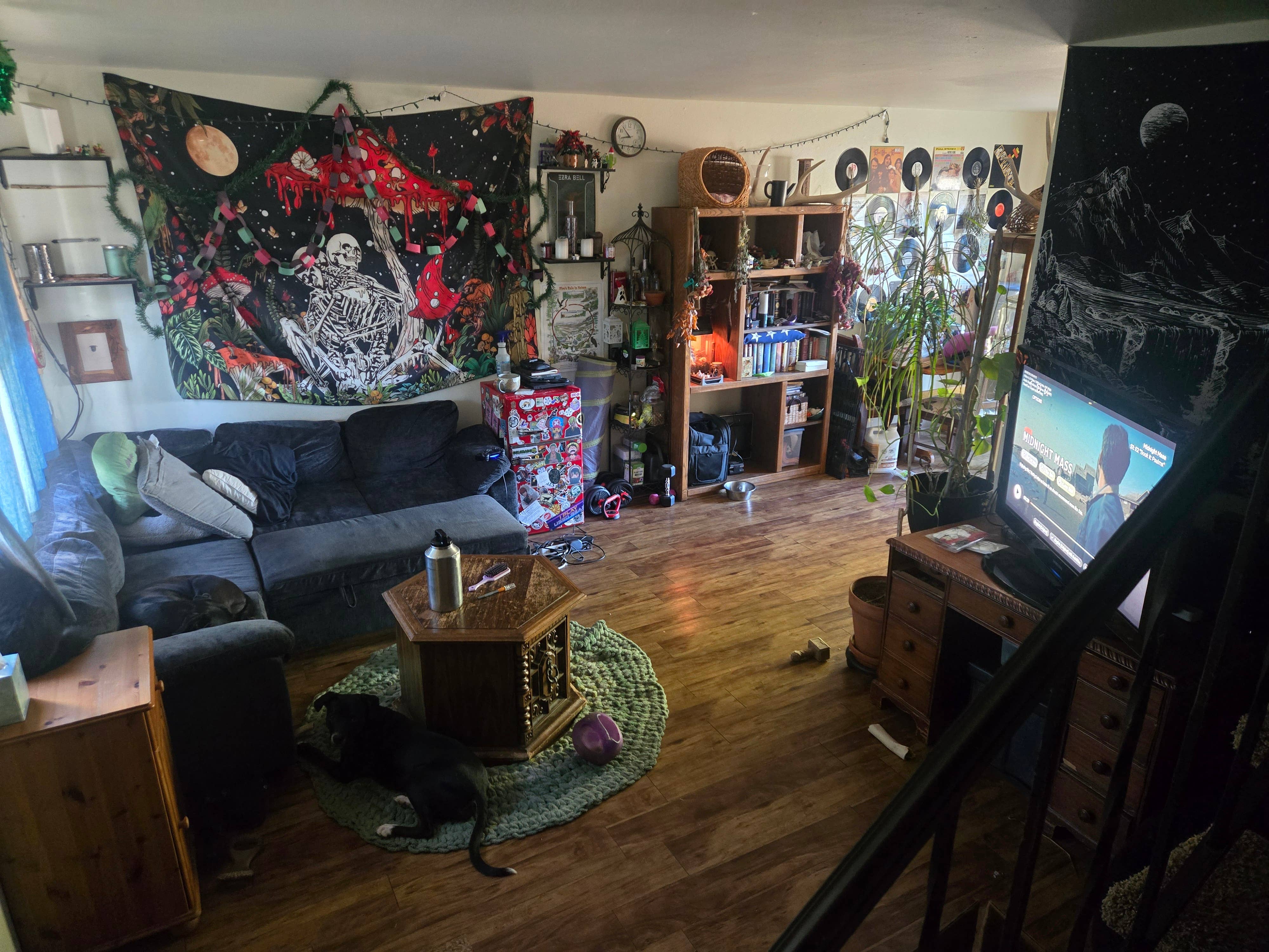 Subleting great apartment!