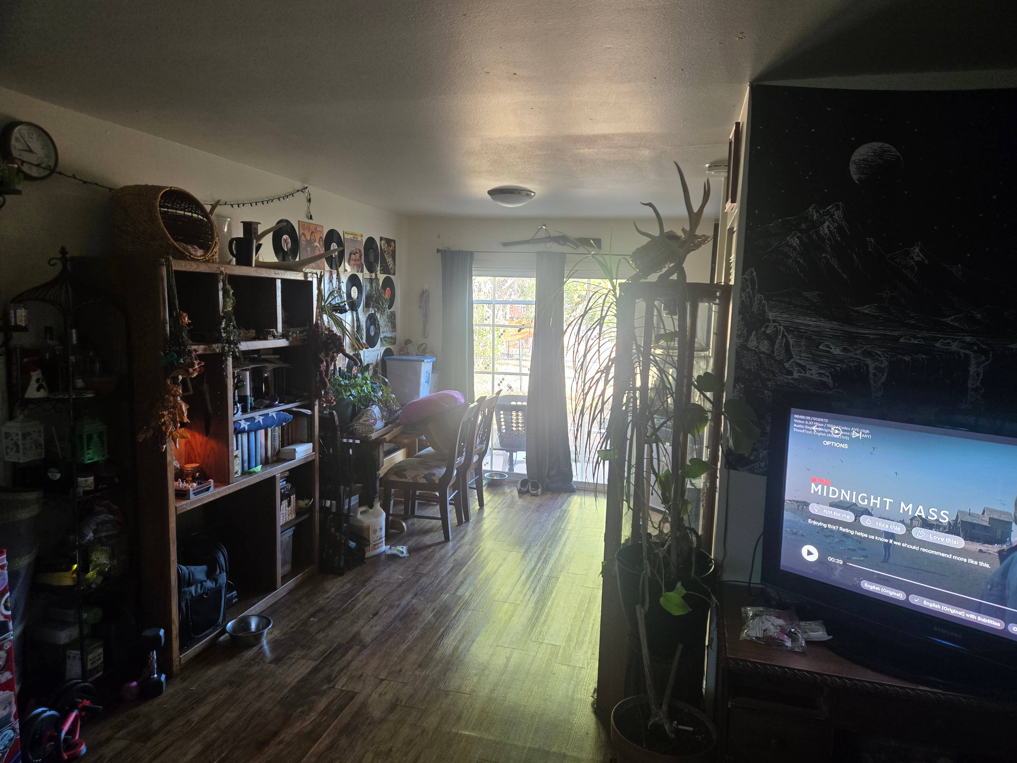 Subleting great apartment!
