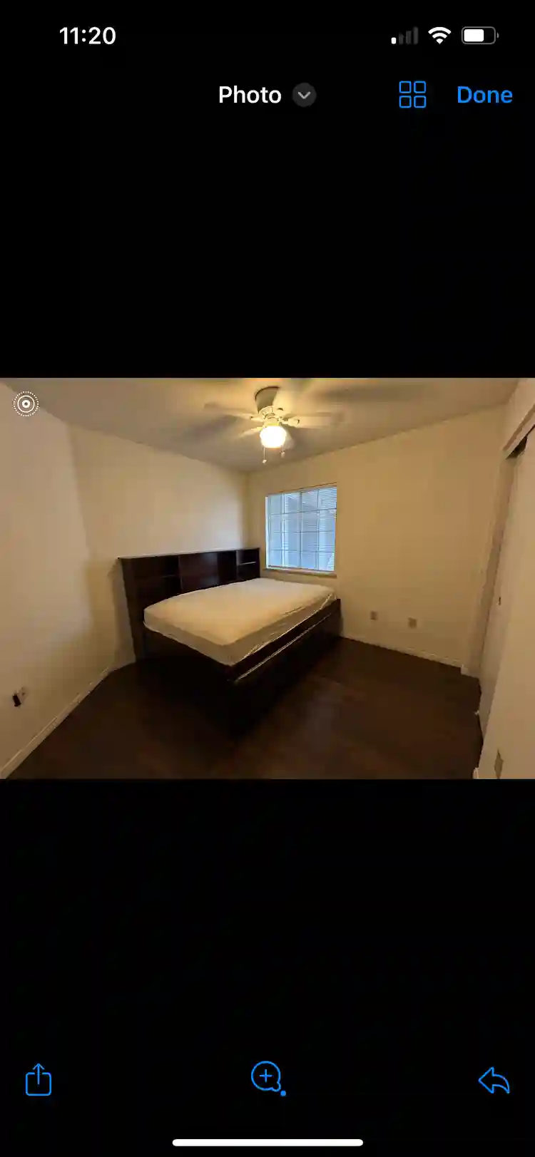 Looking for a roommate