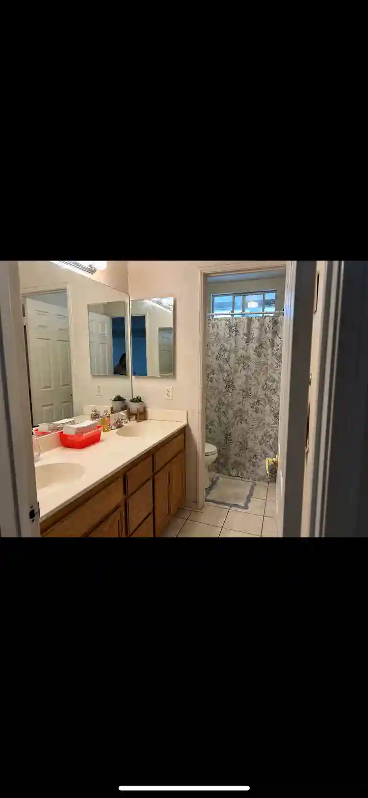 Looking for a roommate