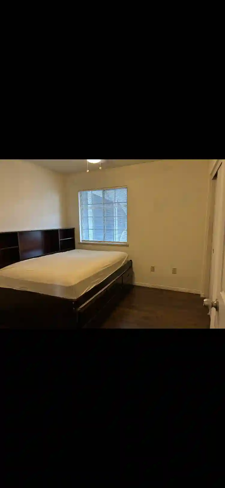 Looking for a roommate