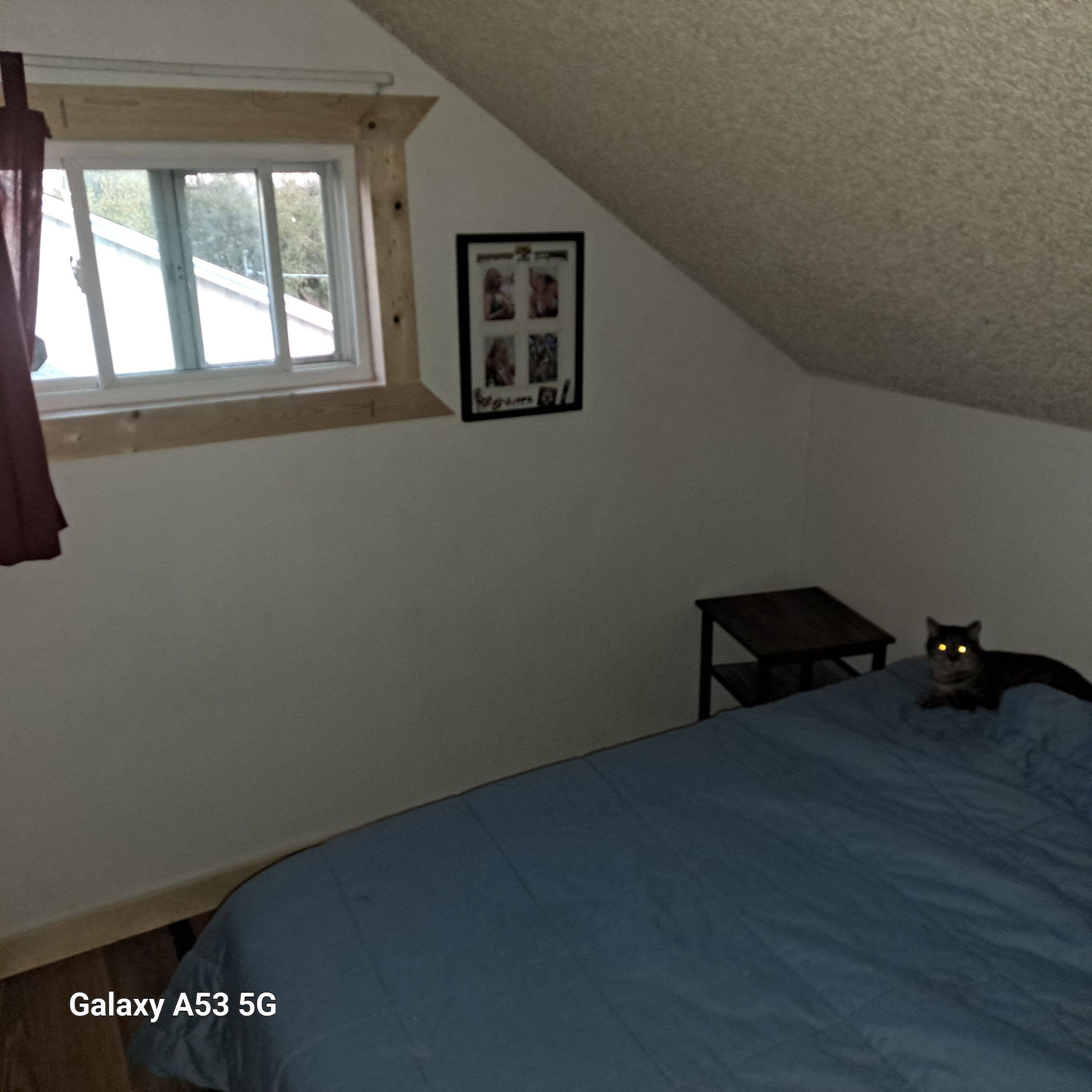 Seeking Male Housemate